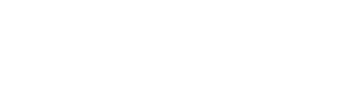 AVINI